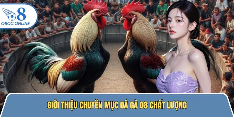 Khái quát đôi điều sảnh đá gà tại nhà cái xanh chín