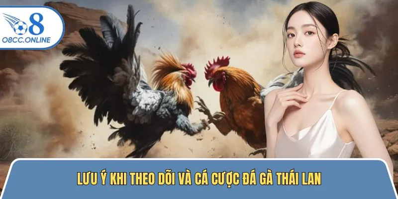 Theo dõi và cá cược chọi kê Thái Lan cần lưu tâm một số vấn đề
